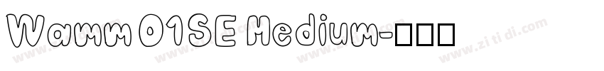 Wamm 01SE Medium字体转换